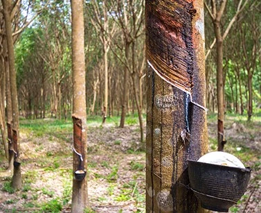 Sustainable Material Commitment